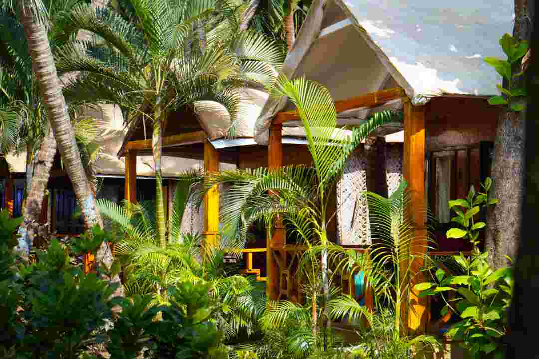 Curated dining at Casa Marasista